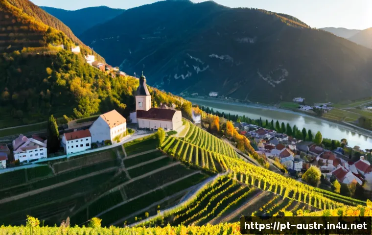 Home 17 오스트리아 와인 명산지 - Photorealistic panoramic view of Austria’s Wachau wine region at golden hour, steep terraced vineyar...